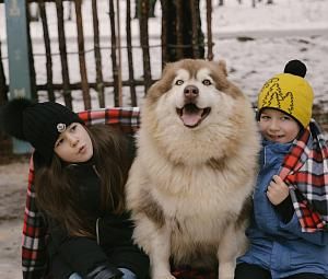 В гости к хаски в эко-деревню Сивцево!