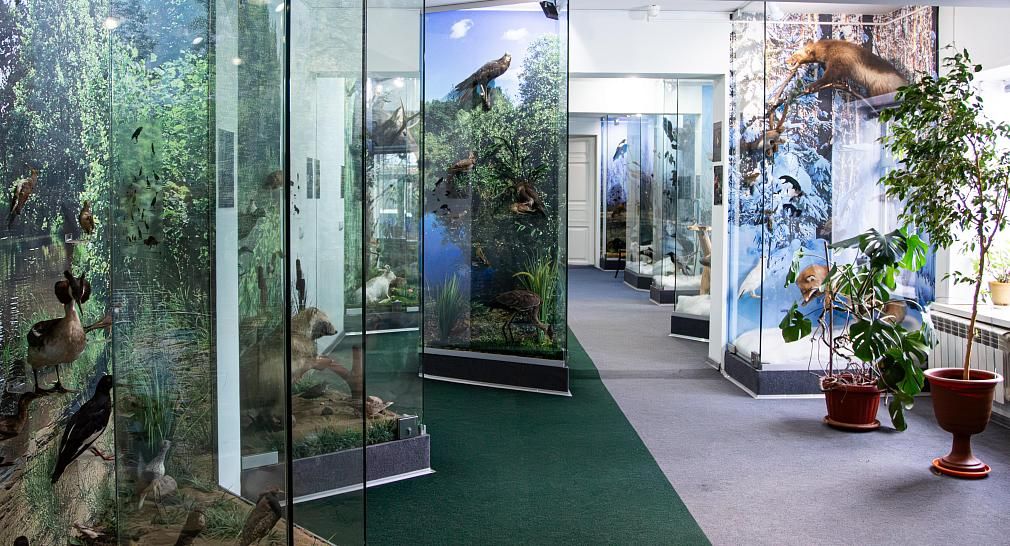 Музей природы и этнографии