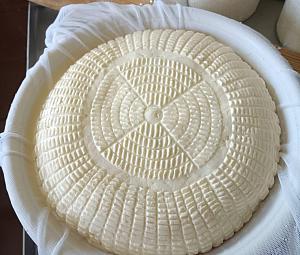 Сыроварня «Уездный дар»-2