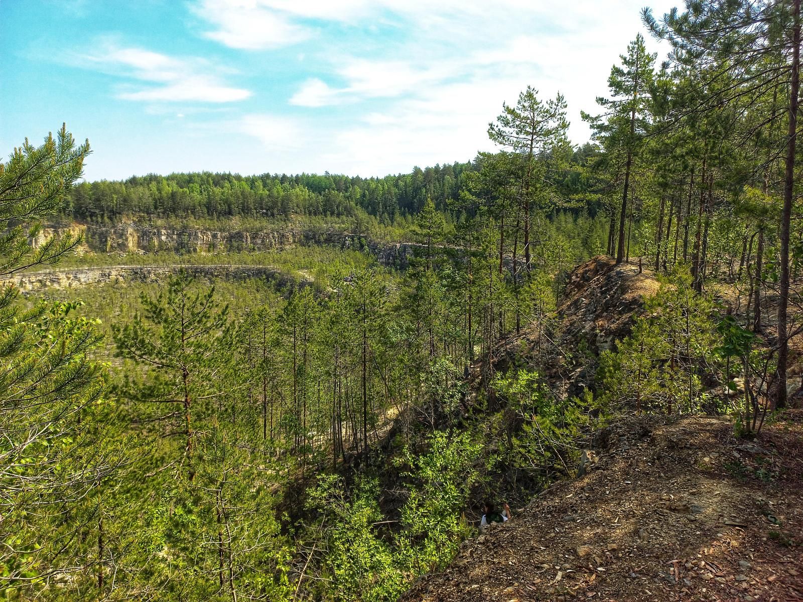 Северные орхидеи: экскурсия в Дюкинский заказник-5